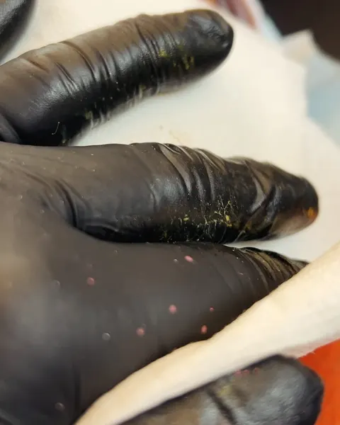 noble1tattooing