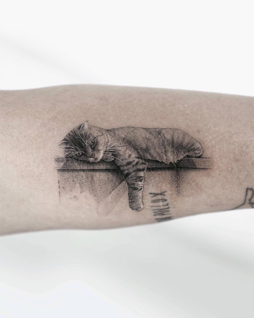 soltattoo