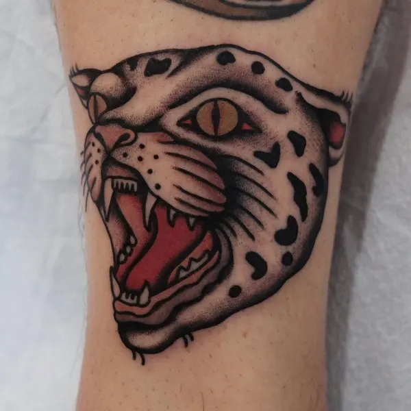 Tiger, Animal