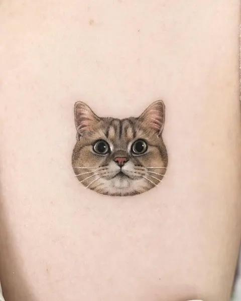 고양이