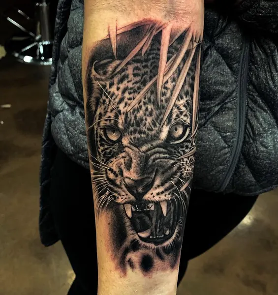 Animal, Tiger