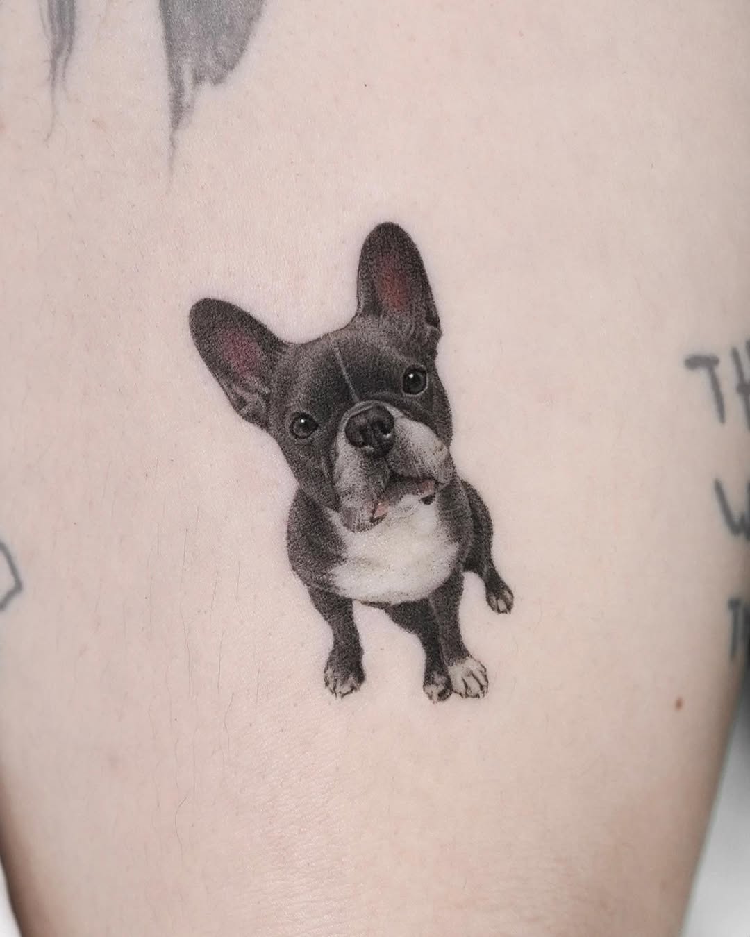 dorok.tattoo
