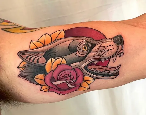 Tiger, Animal
