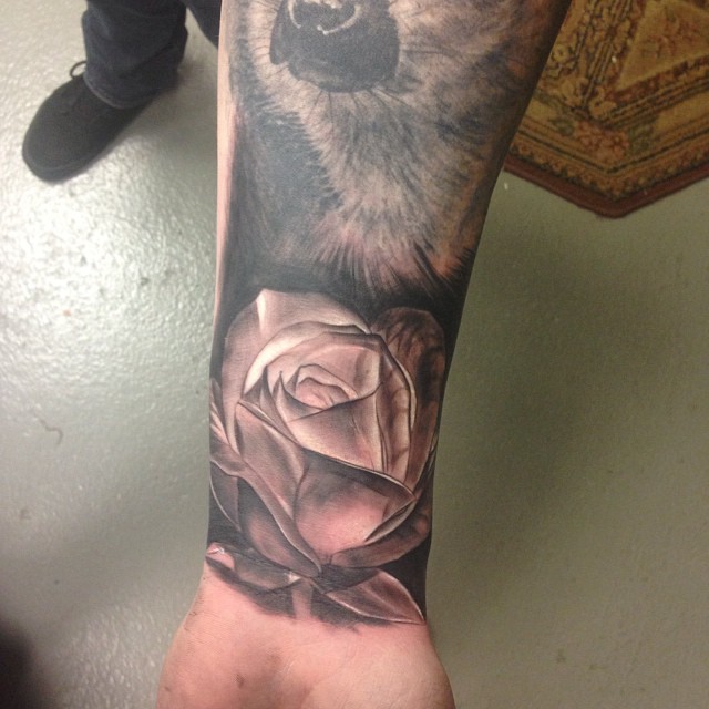 Flower, Rose