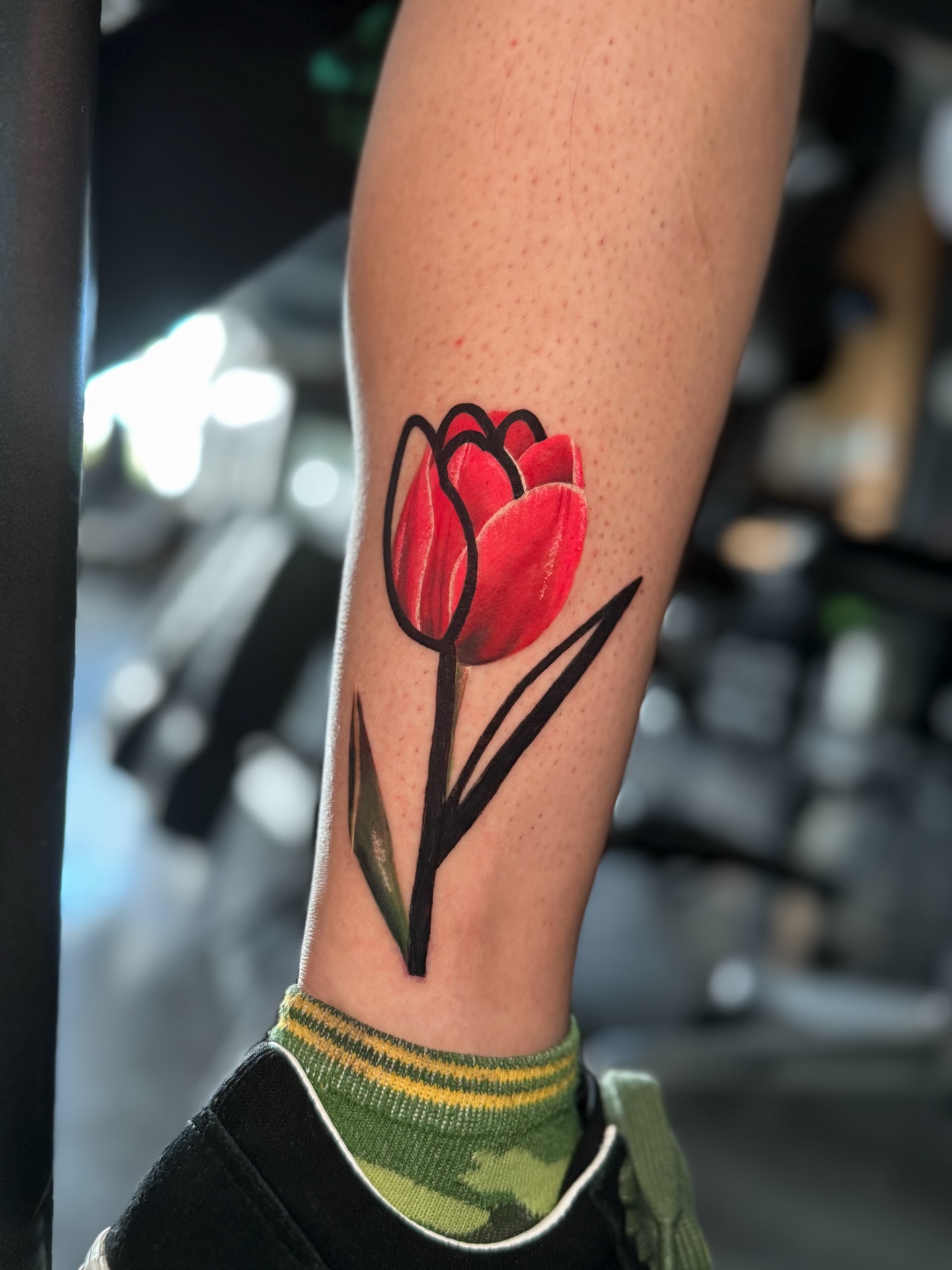 Flower, 튤립