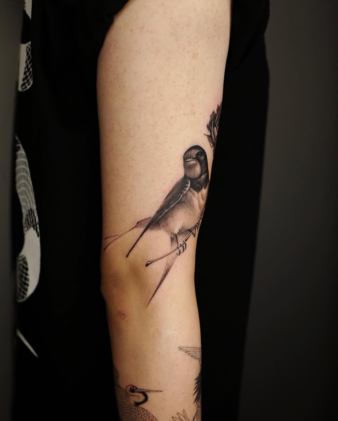 lifo_art