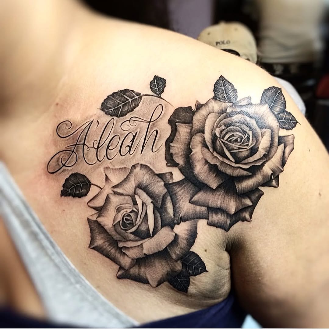 Flower, Rose, Nature