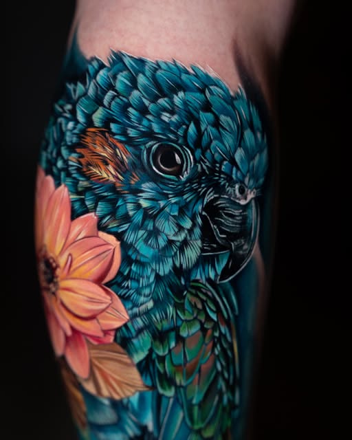 Animal, Nature, 앵무새