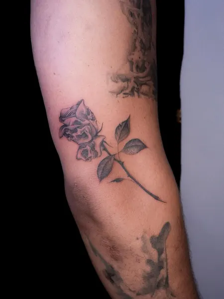 Flower, Rose