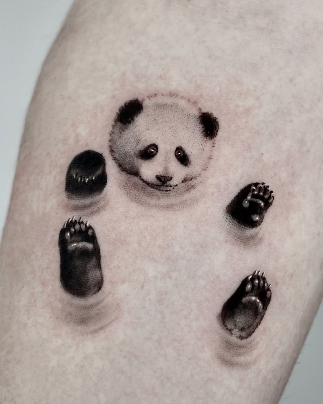 40.tatt