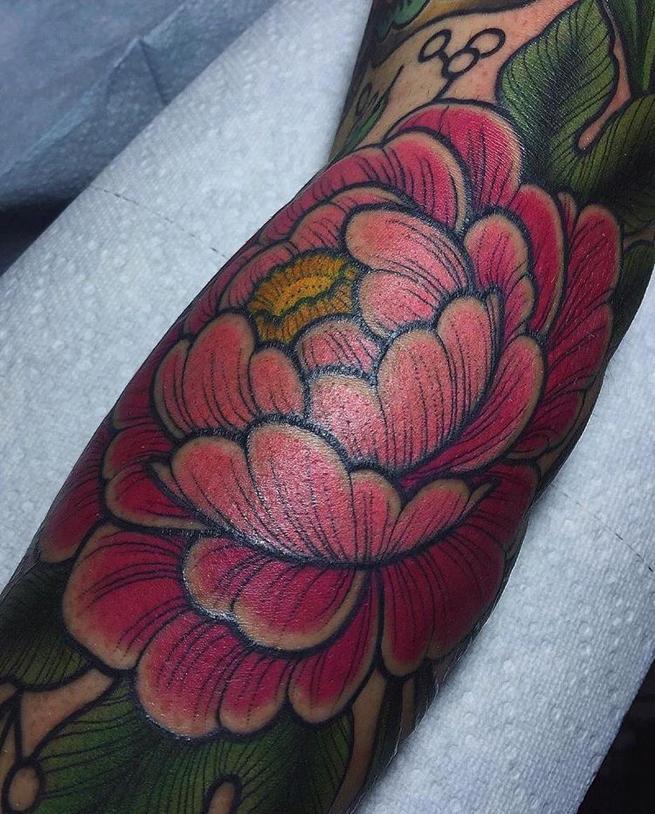 Flower, Rose