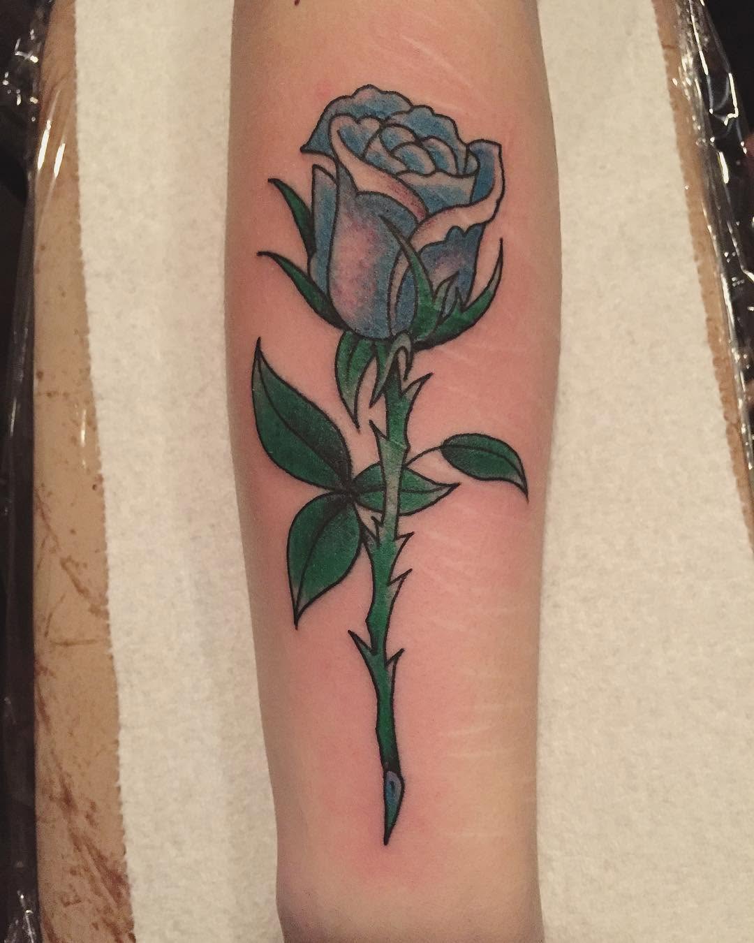 Flower, Rose, Nature