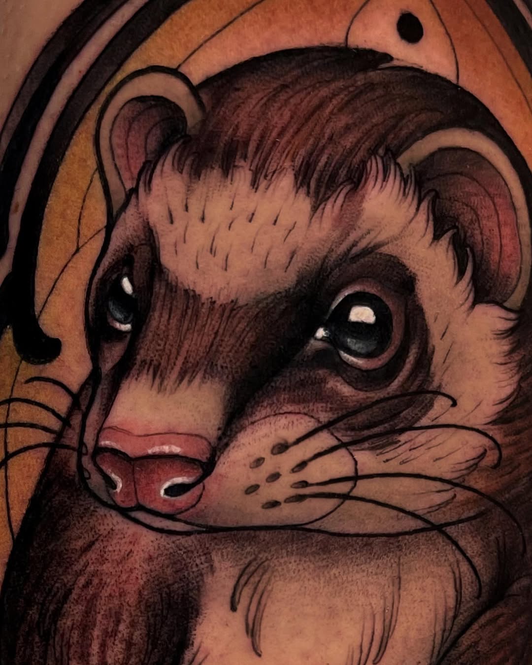 Animal, Tiger