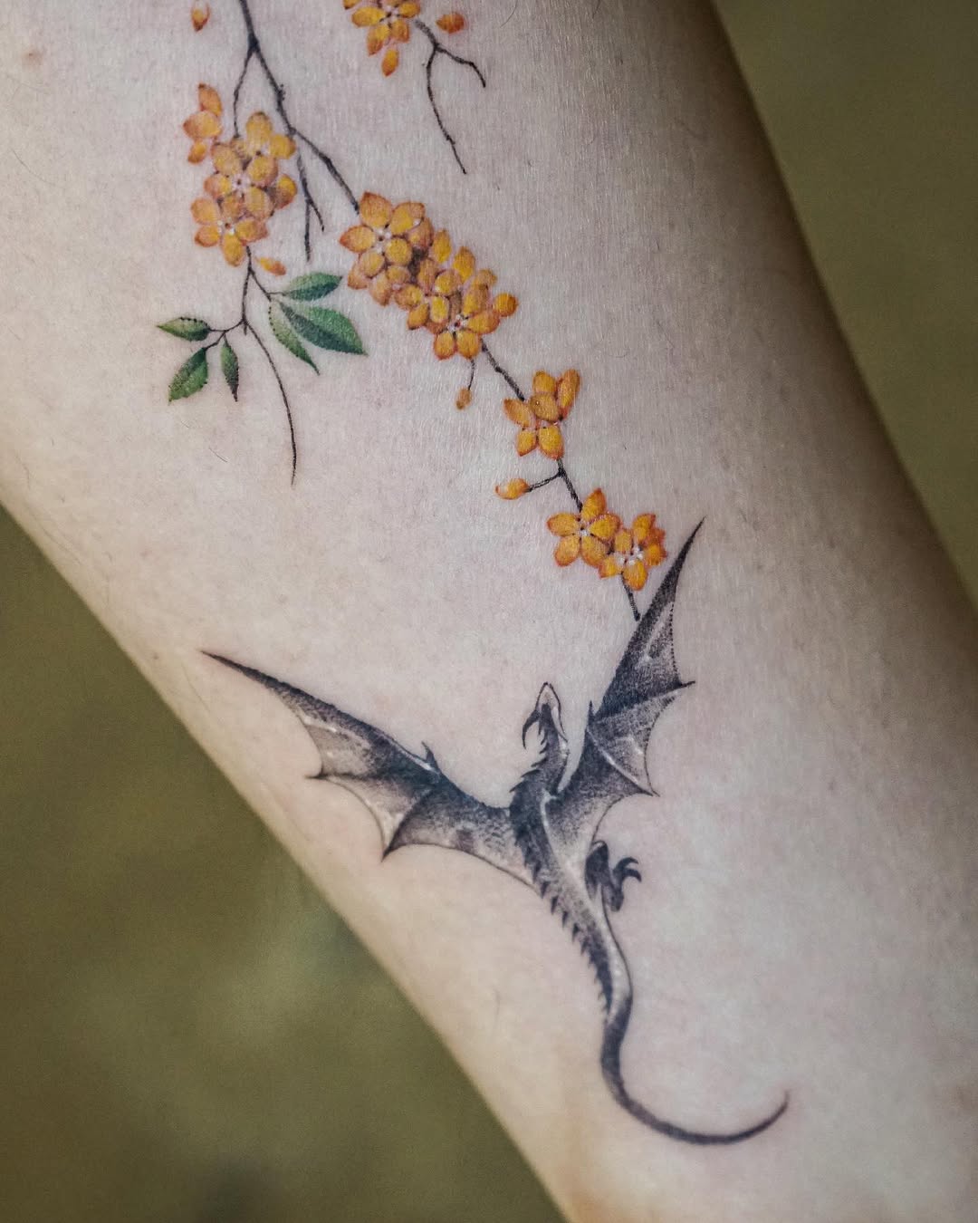 Dragon