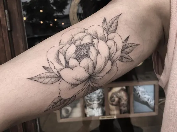 Flower, Rose