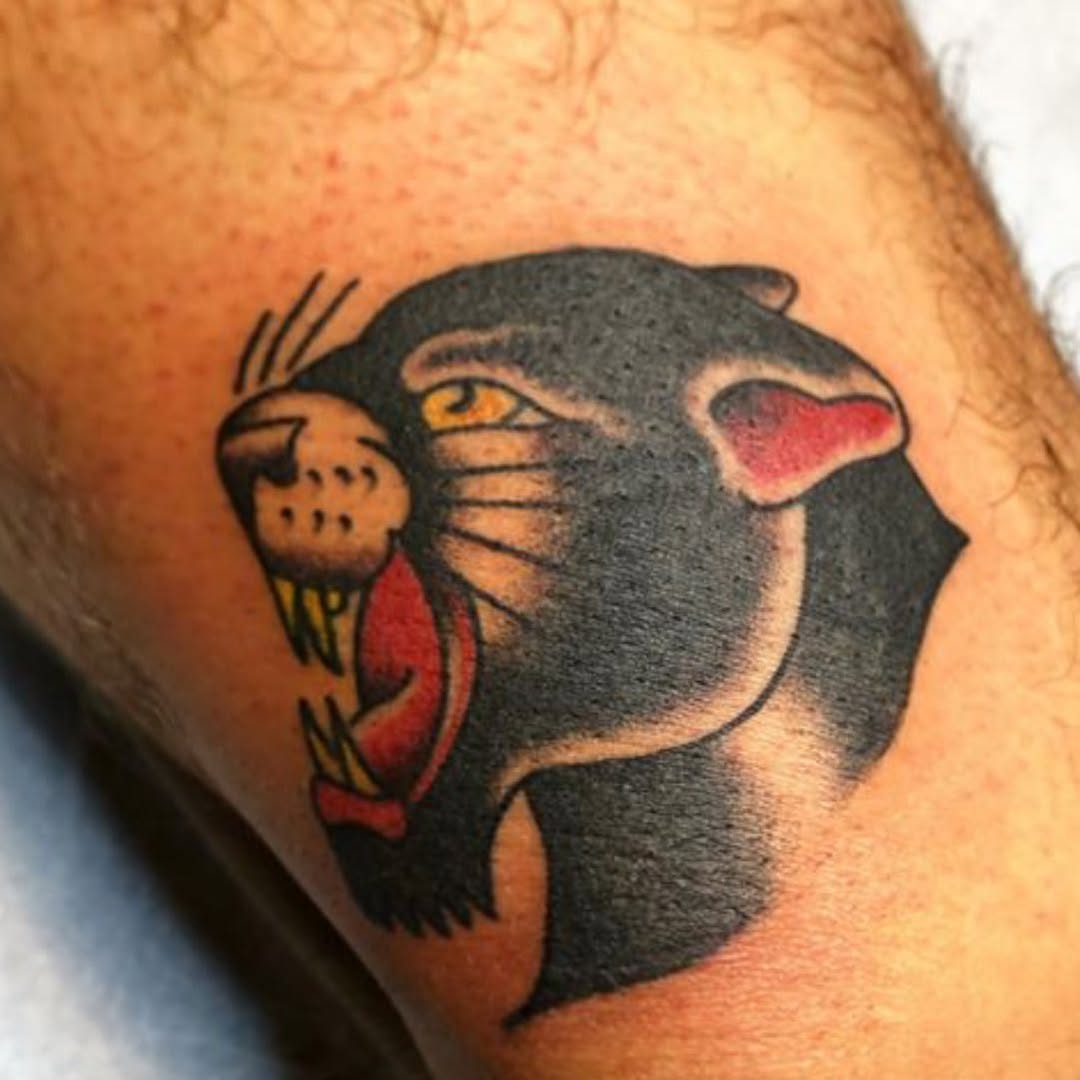 Animal, Tiger