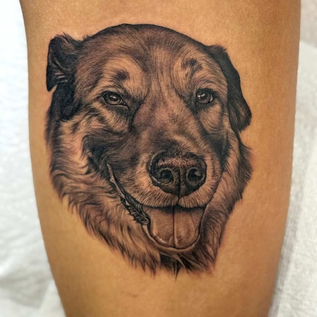 Animal