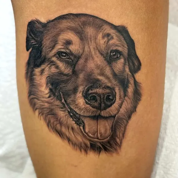Animal