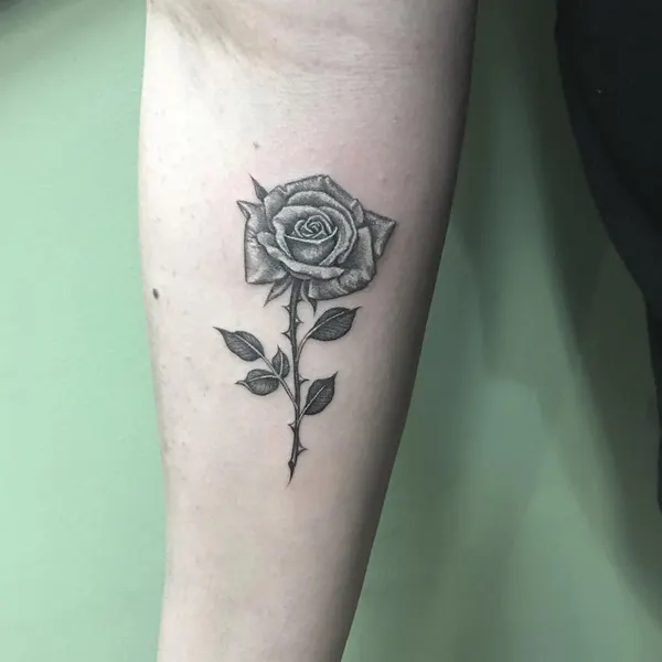 Flower, Rose