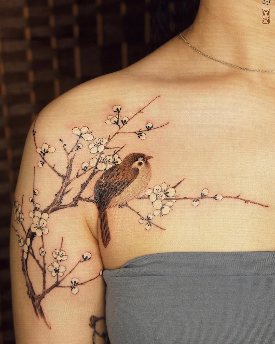 Animal, Nature