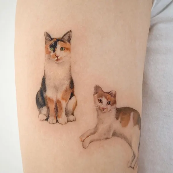 고양이