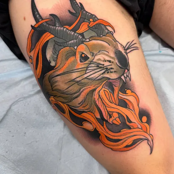 Animal