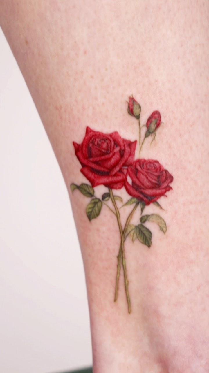 Flower, Rose