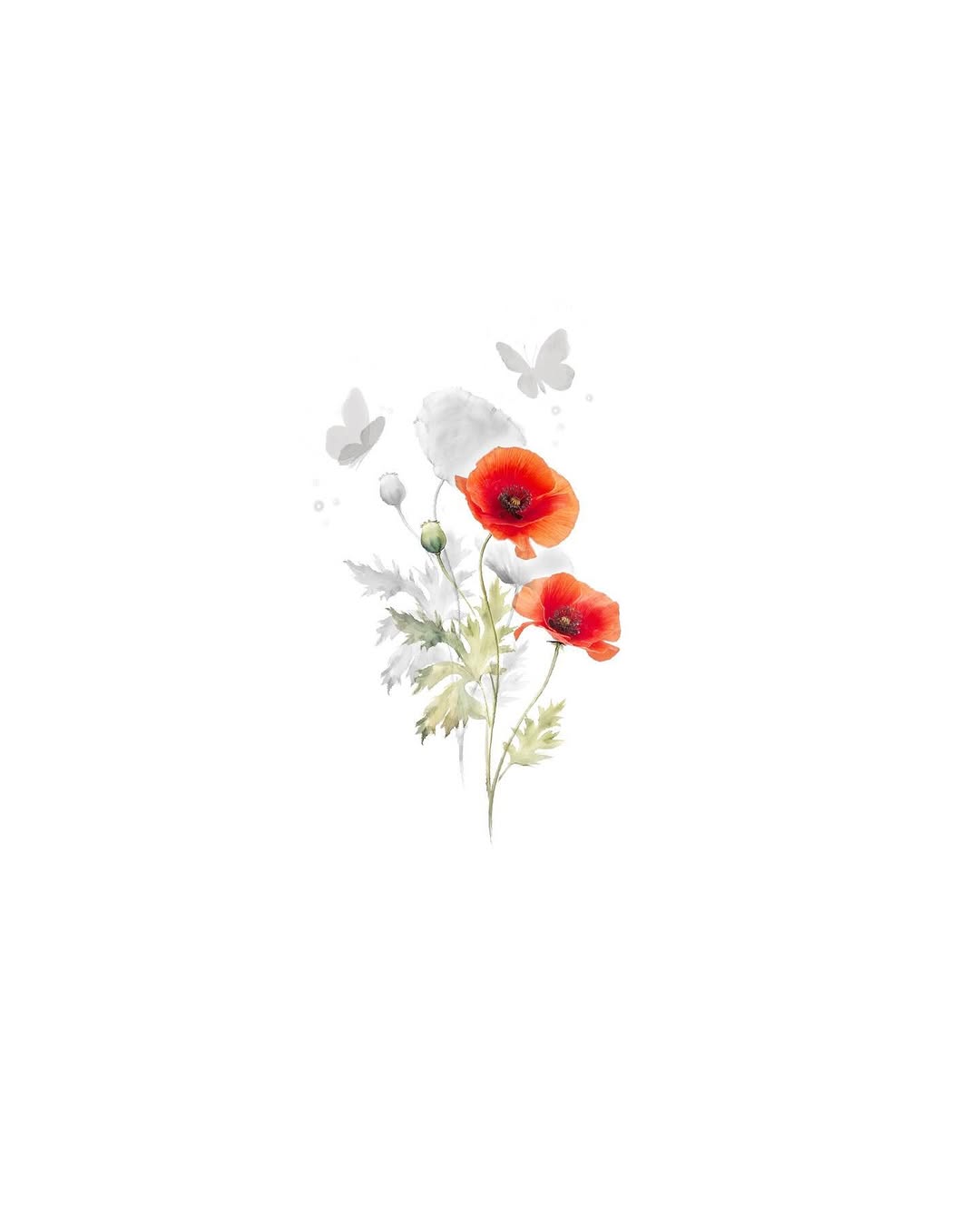 hongzo_tt
