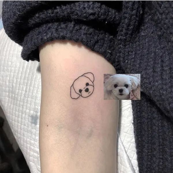 정의, 뇌신, 영화, 함사, 게이샤
