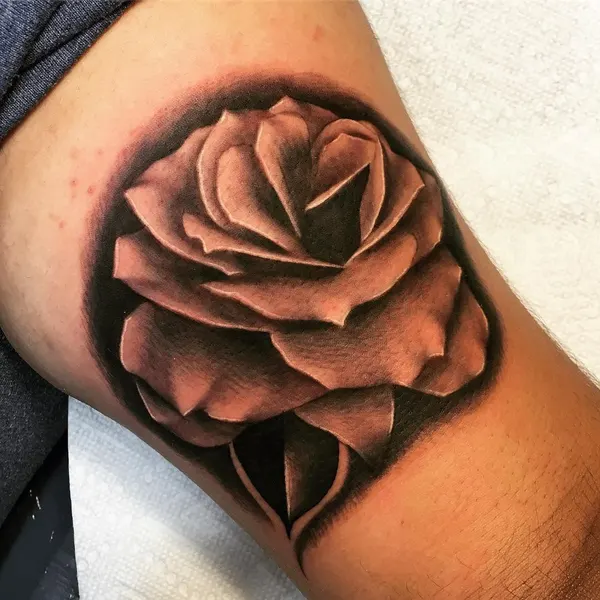 Rose, Flower