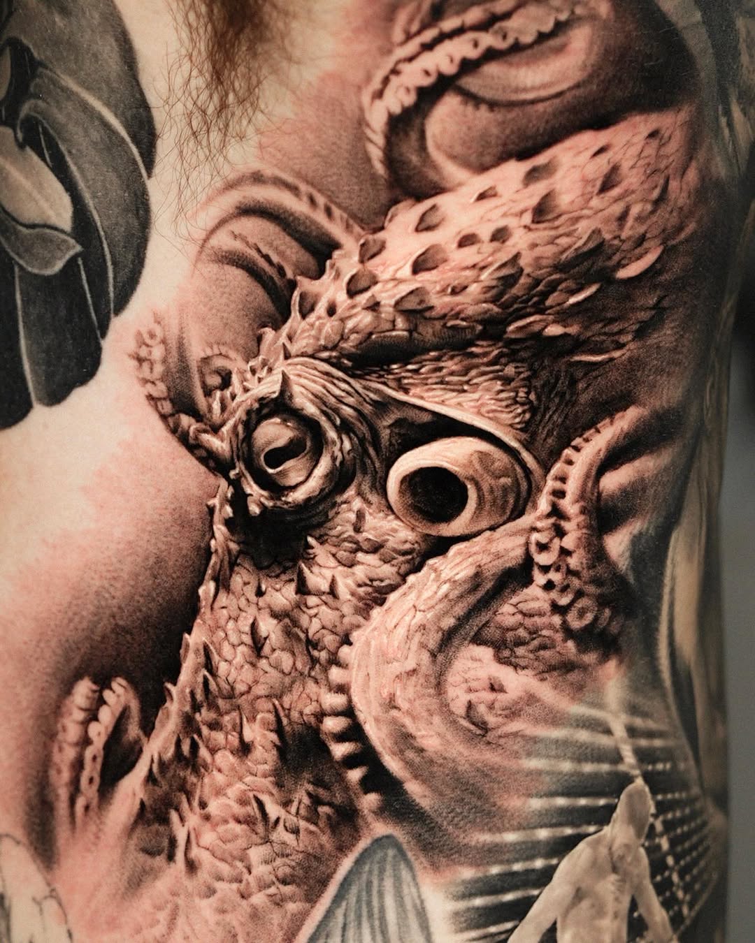 Animal