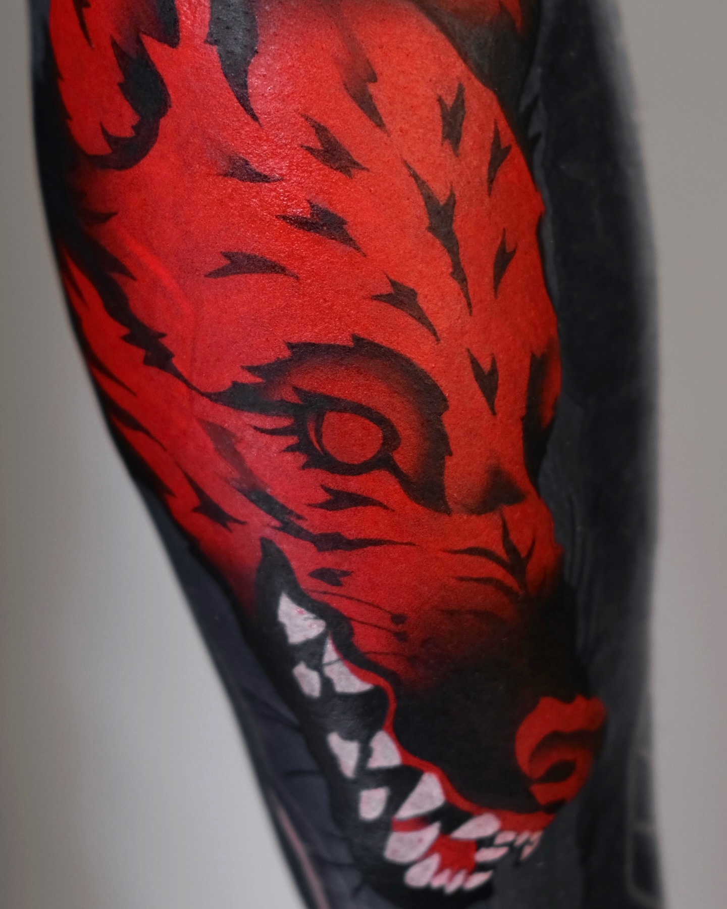 Animal, Tiger