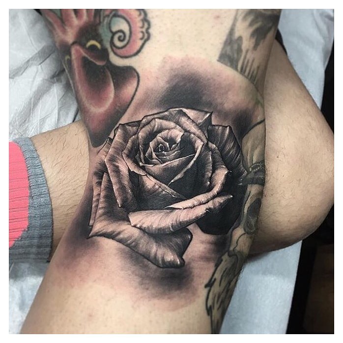 Flower, Rose