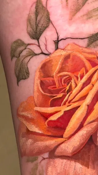 Flower, Rose