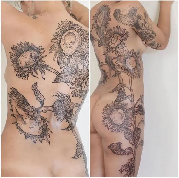 Flower, Nature, Rose