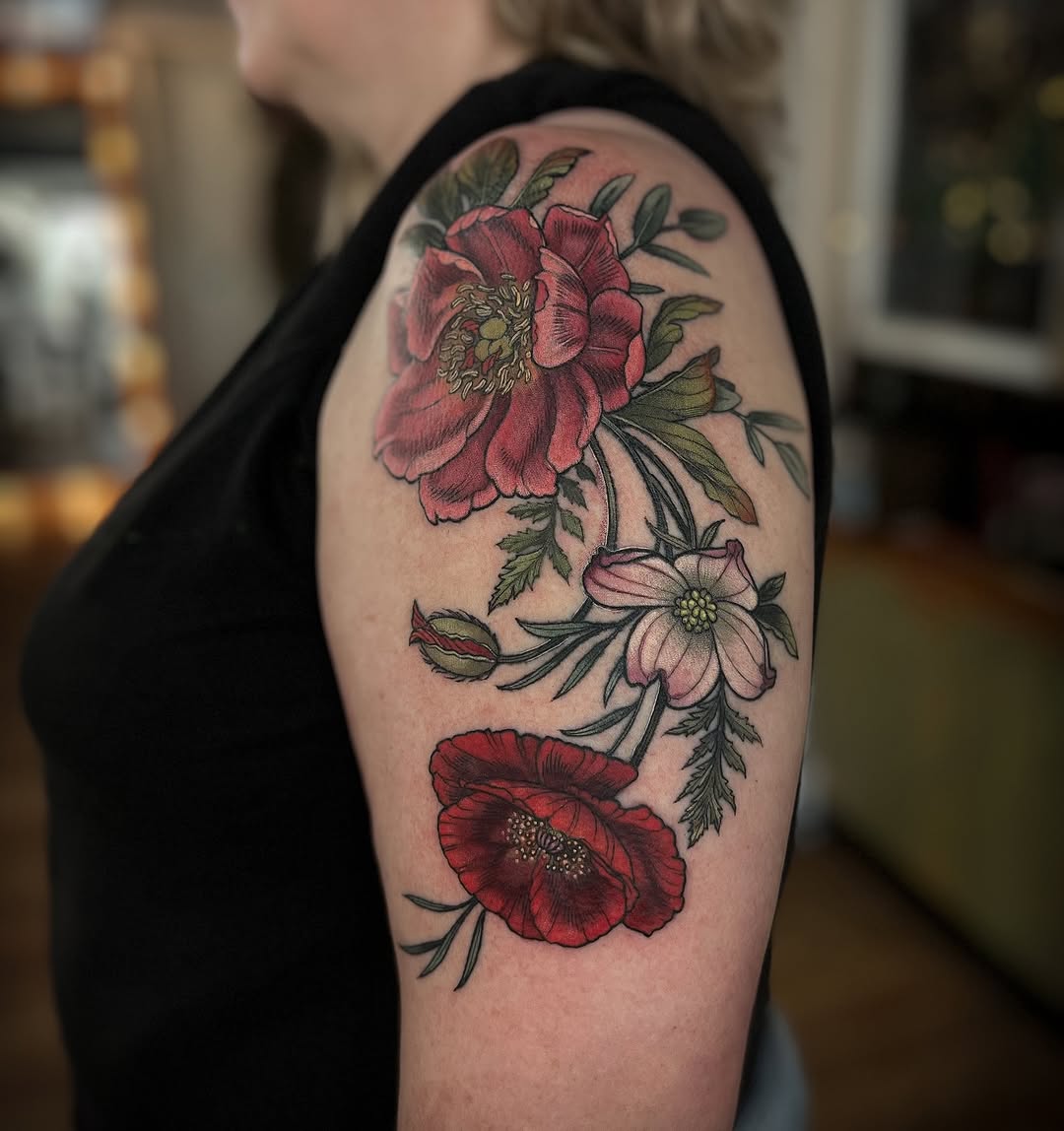 Flower, Nature, Rose