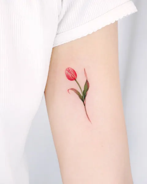 Flower, 튤립