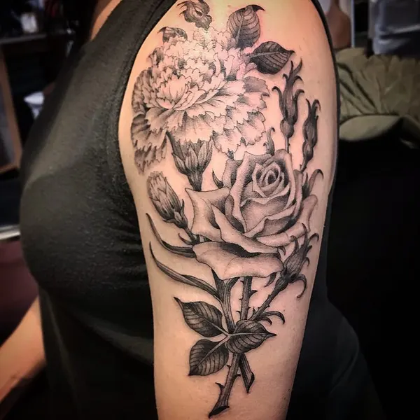 Flower, Rose, Nature