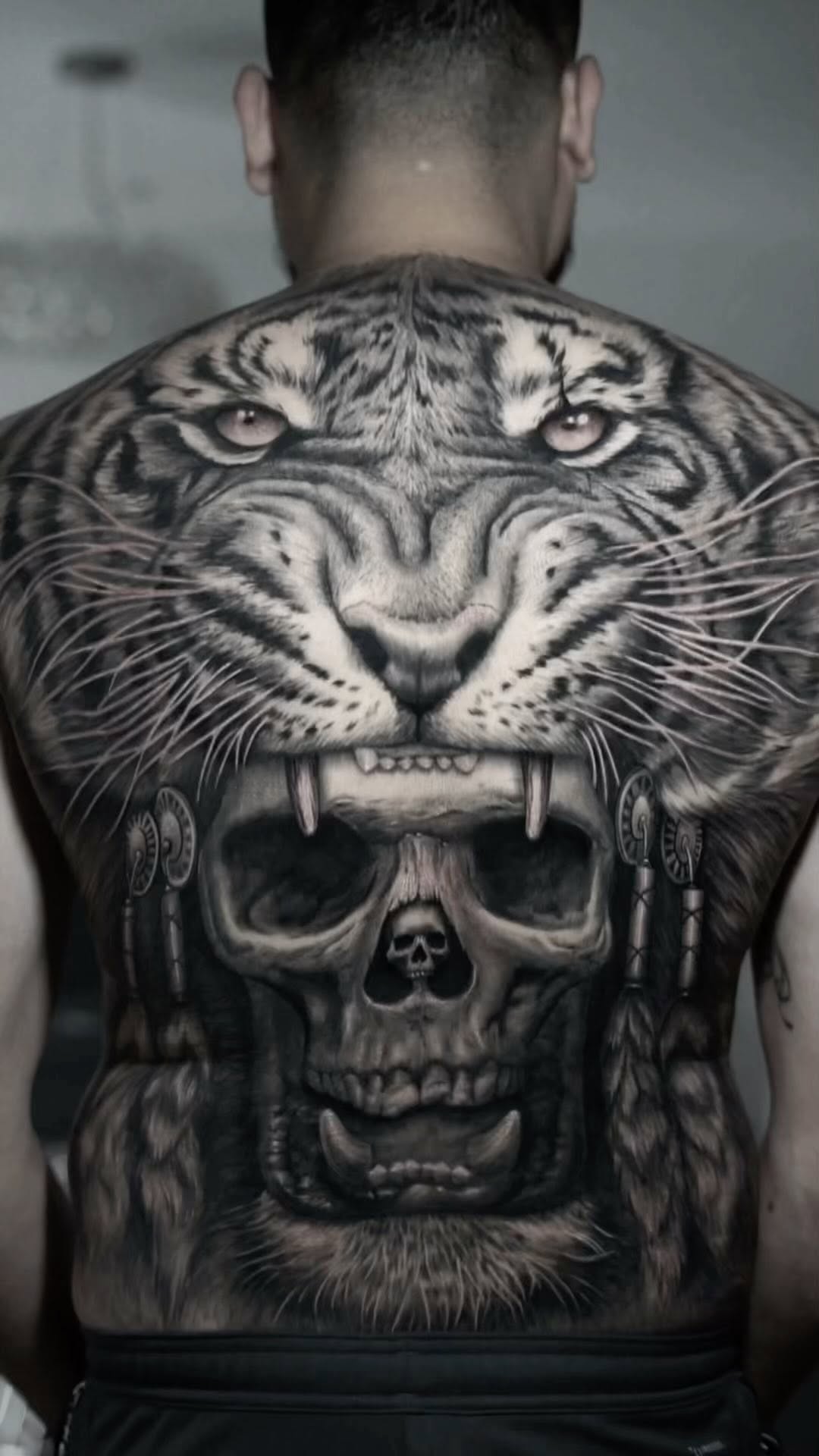 Tiger, 일본 호랑이, 한국 호랑이