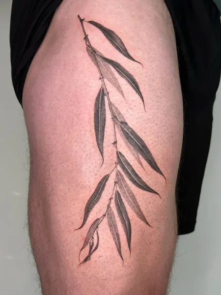 Flower, 풀, 잎, 대나무, 단풍잎
