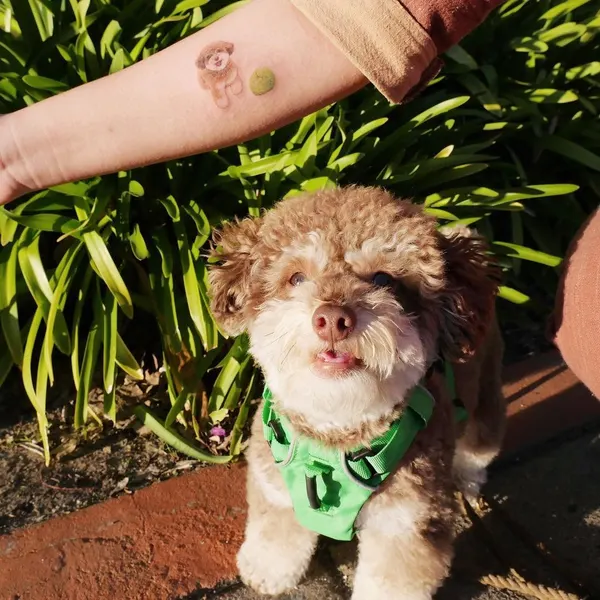 paw.tattoo