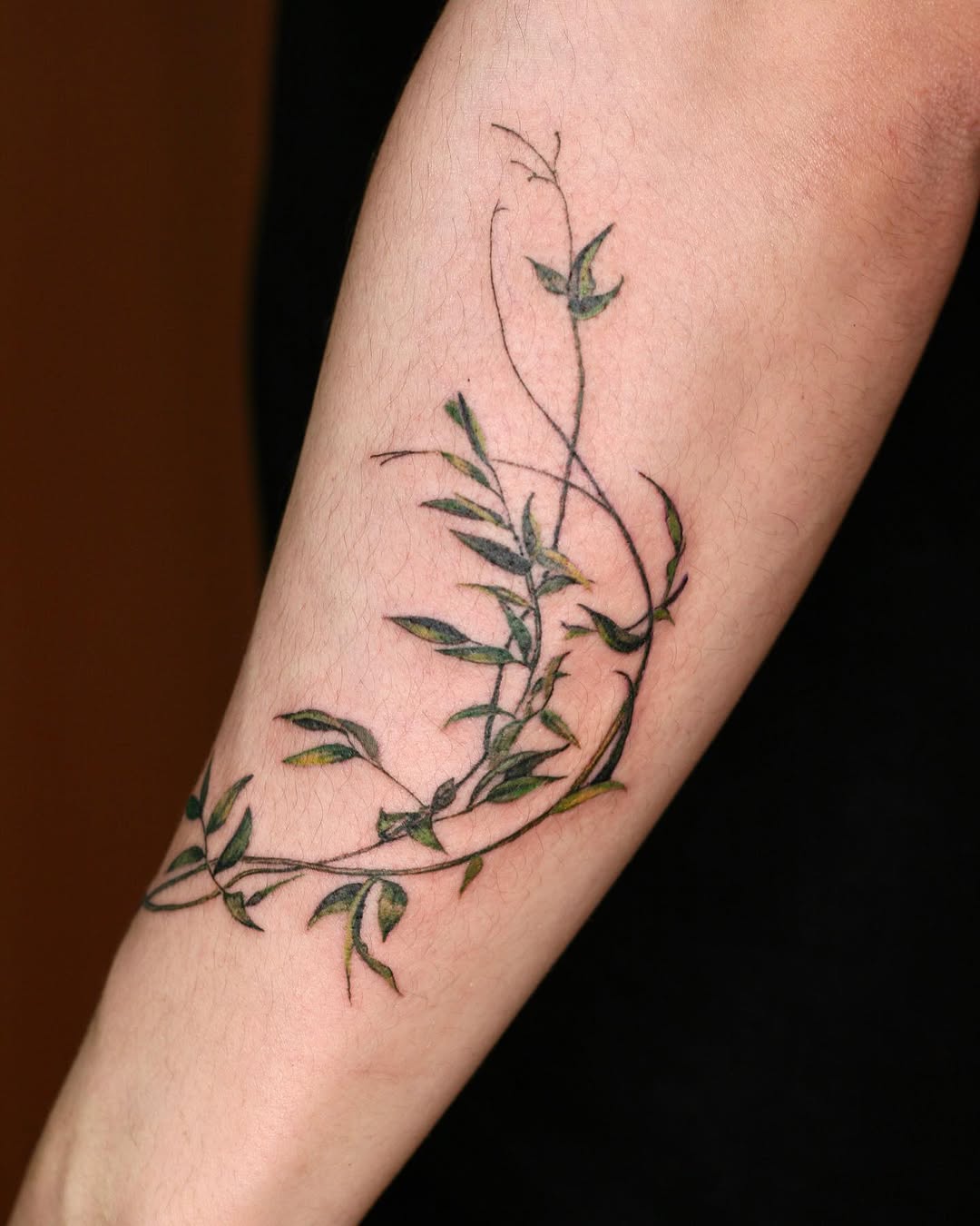 Flower, Rose, 풀
