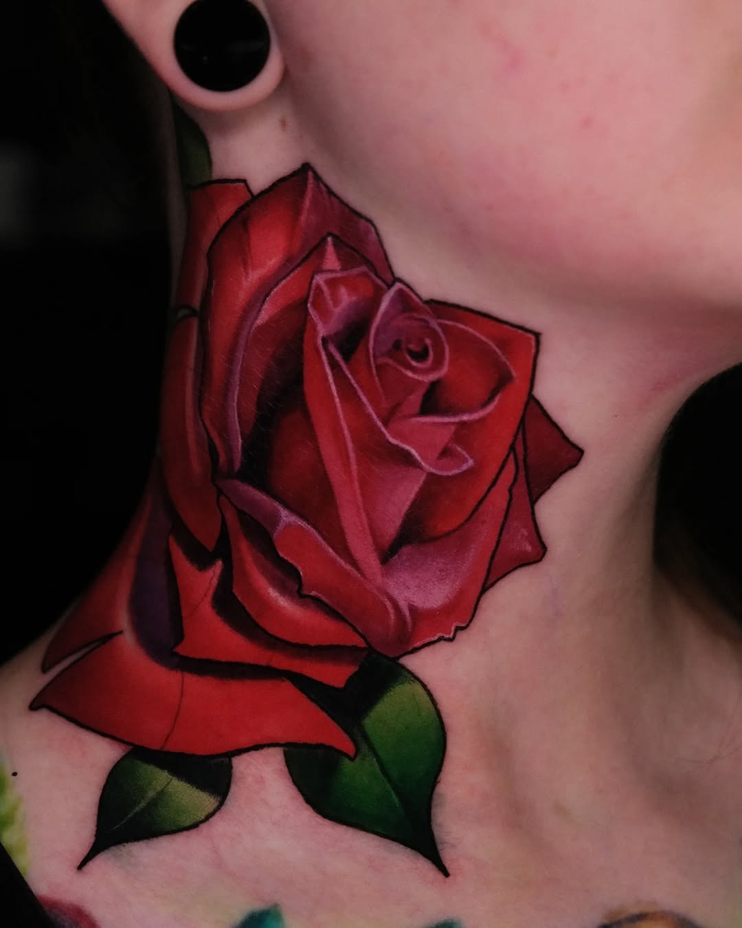 Flower, Rose, Nature