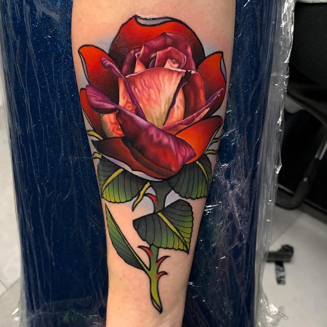 Flower, Rose