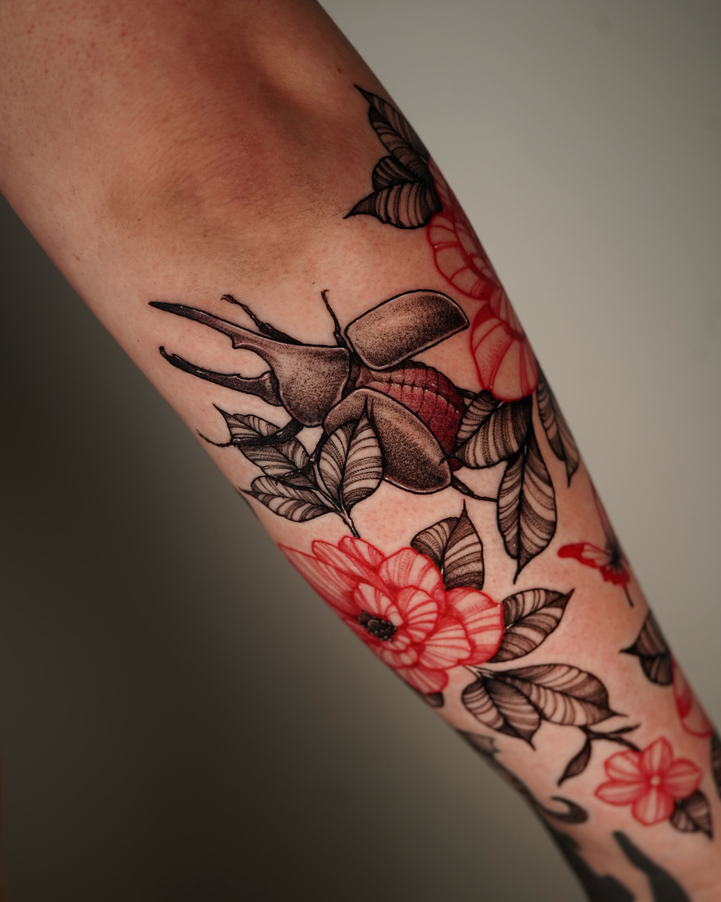Animal, Nature, Flower