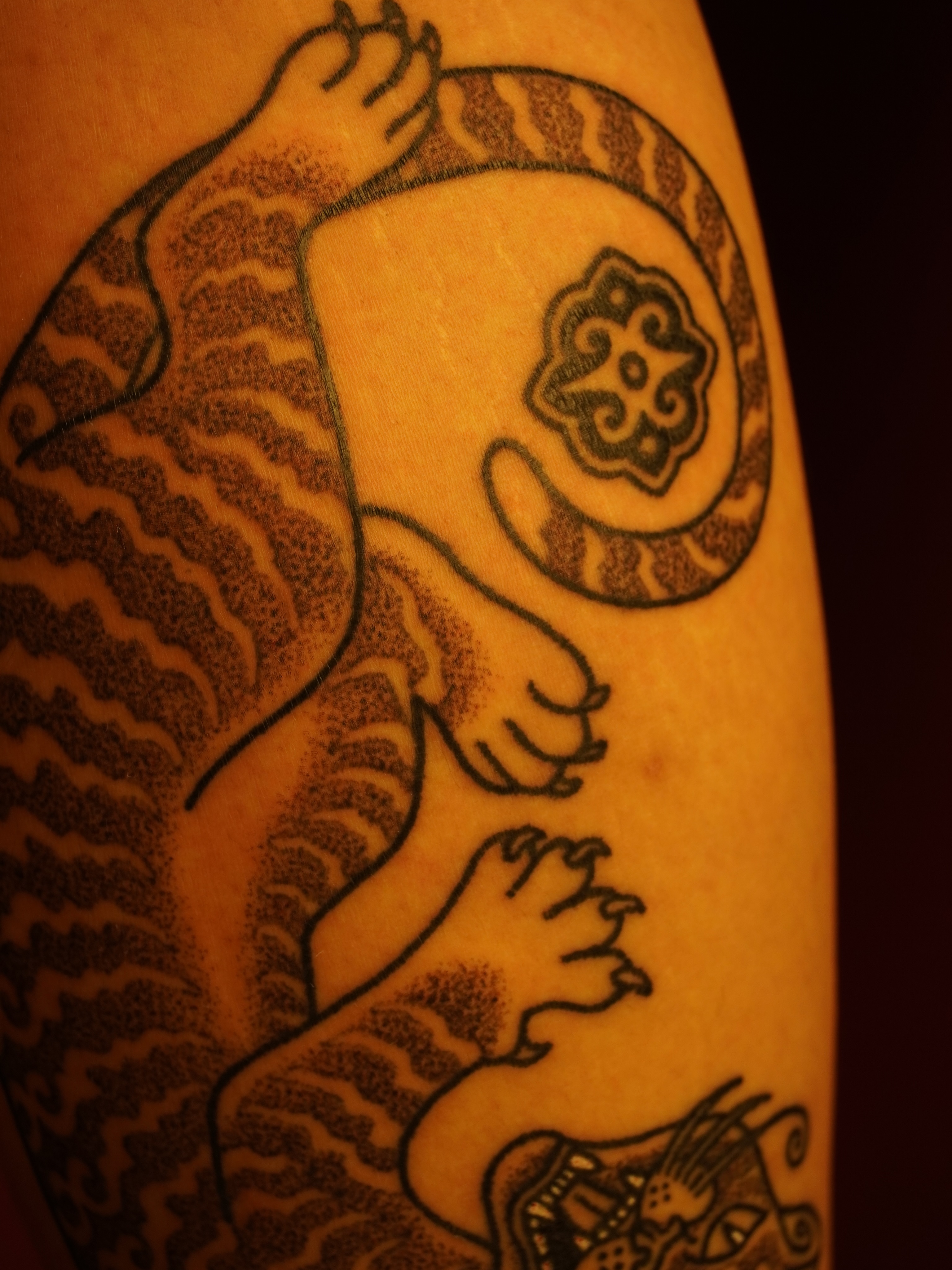 Tiger