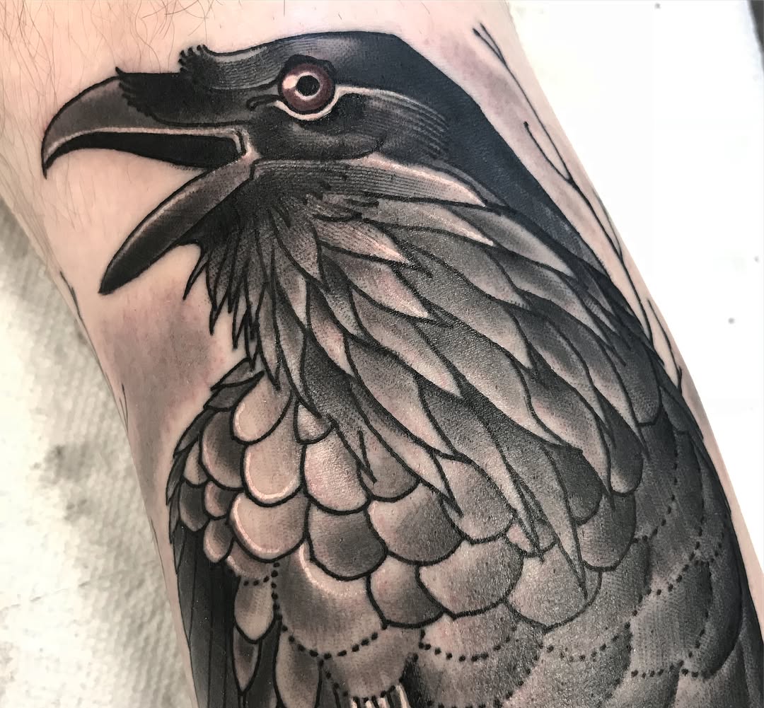 Animal