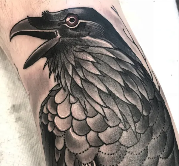 Animal