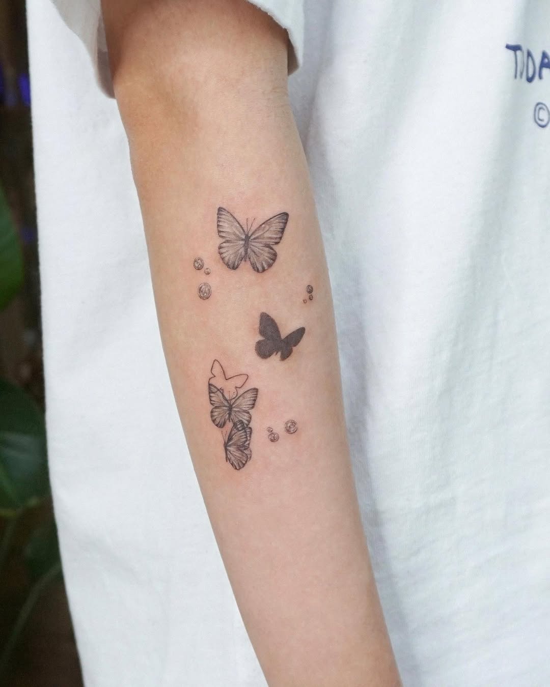 Nature, Animal