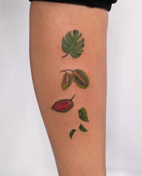 Flower, Rose, 잎, 은행잎
